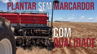 COMO PLANTAR SEM MARCADOR E BIGODE - DICA PLANTADEIRA GRANDE