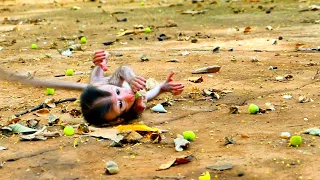 Most Cute Baby Monkey SARIO Fell During Jumping