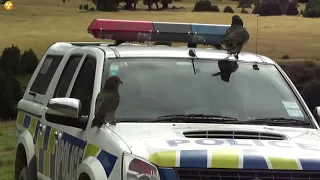 Parrots Attacking Police Vehicle In New Zealand.