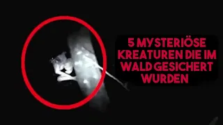 5 MYSTERIÖSE KREATUREN im Wald