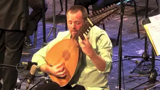 Vivaldi Lute Concerto in D Major RV93 II - Largo