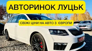 ЇДЕМО НА АВТОРИНОК ЛУЦЬК 30.10.2021 ЦІНИ НА АВТО