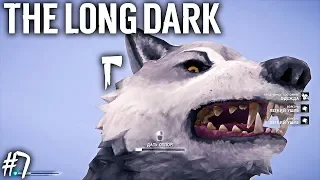 БУНКЕР И СВЕТЯЩАЯСЯ ПЕЩЕРА | THE LONG DARK REDUX | 3 ЭПИЗОД ► Прохождение Серия 7