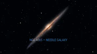 «NGC 4565 — Needle Galaxy» by Nicoletta Guarniera