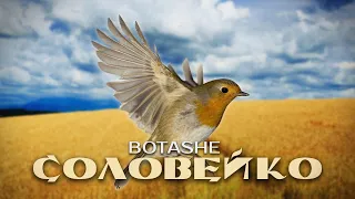 BOTASHE - Соловейко