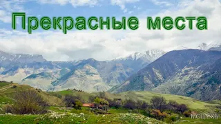 Прекрасные места  Феликс Мамиев  МСЦ ЕХБ ПРОПОВЕДЬ 2020