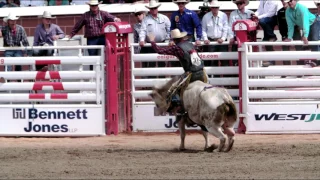 Rodeo 101 - Bull Riding