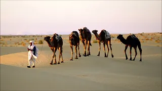 Camel | Arabian Nights ▪ Desert Rose ▪ Oriental Touch ▪ Ethno Deep House (2022 DJ Mix)