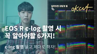 C-log? 제대로 알고 쓰자! EOS R c-log 테스트! A to Z [OK CUT]