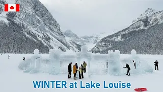 Lake Louise Winter Walking and Skating 2024 | Banff National Park