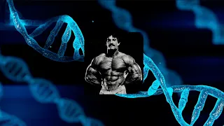 MIKE MENTZER: GENETICS