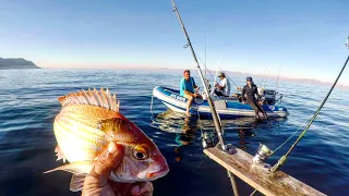 Red Roman, Cape Bream , Silver fish catch with the real Young Adventures