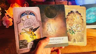 Leo 🍀SOMEONE OR SOMETHING COMING IN TO CHANGE YOUR LIFE IN A BIG WAY !!! ♌️Money Tarot