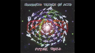 Shamanic Tribes On Acid - So Stoned