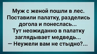 Муж с Женой в Лесу Встретили Медведя! Сборник свежих Анекдотов! Юмор!