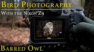Bird Photography with the Nikon Z9 | An Amazing Encounter with a Barred Owl