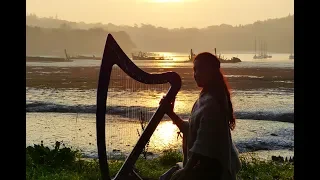 Inisheer - Irish ballad - Celtic harp & low whistle