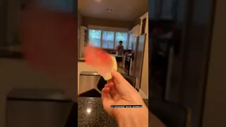 Mark gives Amy a piece of Watermelon