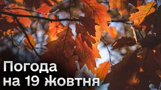 🌤 Погода на 19 жовтня: прогноз на четвер