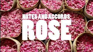 NOTES AND ACCORDS: ROSE