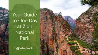 Your Guide To One Day at Zion National Park