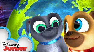 Bingo and Rolly Celebrate Earth Day! 🌍| Puppy Dog Pals | Disney Junior