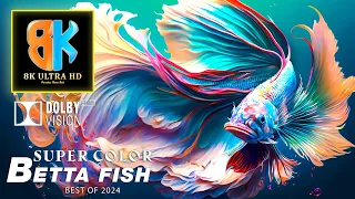 Betta Fish: Video Enchanting Black Aquarium in 8K Ultra HDR - Best of DOLBY VISION™ - Soothing Music