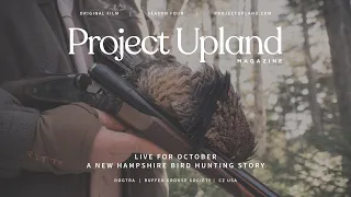 Ruffed Grouse and Woodcock Hunting in New Hampshire - Live for October