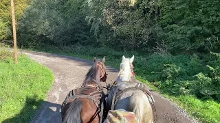 A ride with the horse-drawn cart in Transylvania  - original sound (soothing, sleep)