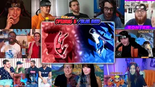 Naruto Shippuden Opening 3 - Blue Bird 💙| Reaction Mashup | 60Fps