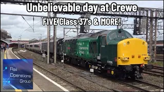 Unbelievable day at Crewe | FIVE Class 37's | 37407 heads to DERBY after its SALE by DRS