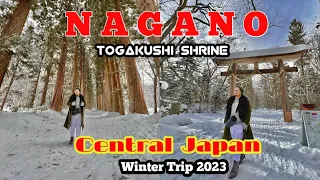 JAPAN WINTER TRIP 2023: NAGANO - TOGAKUSHI SHRINE + FRESA INN HOTEL ROOM TOUR + SHINKANSEN TO NAGANO