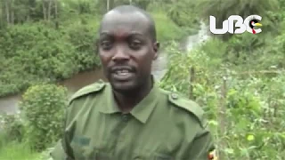 RIVER RWIZI PROTECTION CAMPAIGN LAUNCHED