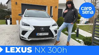 Lexus NX 300h, czyli najlepszy kandydat na męża (TEST PL) | CaroSeria