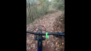 Demoing a Trek Fuel EX.E