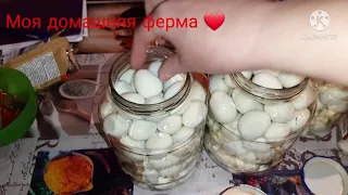 Самый вкусный рецепт 🔥маринованных перепелиных яиц 🔥