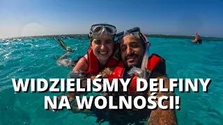 Pływaliśmy z delfinami! Rafa koralowa Sataya w Marsa Alam