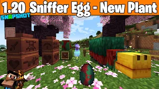 Minecraft 1.20 Snapshot 23w12a  - Sniffer Egg, New Plant & More!