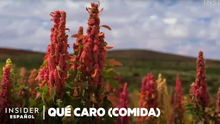 Por qué la quinoa real es tan cara | Qué caro