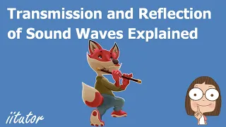 💯 The Transmission and Reflection of Sound Waves Explained