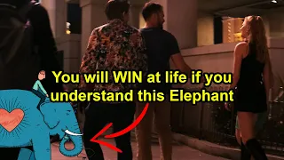 Why This Elephant is the Key to Solving all of your life problems