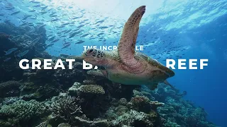 The Incredible GREAT BARRIER REEF | Cinematic Film