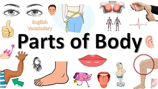 Parts of the Body In English | Learn Parts Of Body Name | Human Body Parts