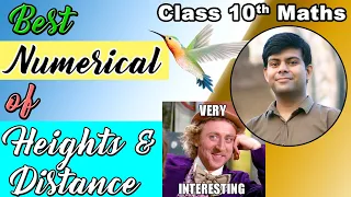 Best Numerical of Heights & Distances | Class 10 Mathematics