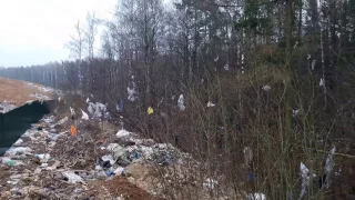 Мусорный беспредел. Обход Кулаковской свалки по периметру. ч.10 Мусор на деревьях