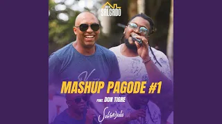 Mashup Pagode #1