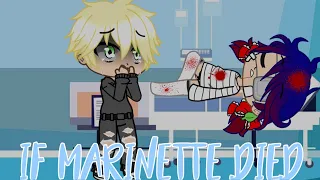 If Marinette died- how MLB would react// 1,000 subs special✨✨