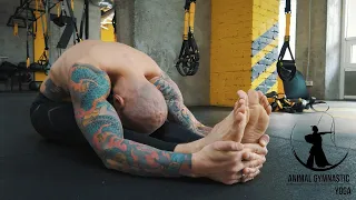 Promo | Animal Gymnastic Yoga