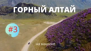 Алтай на машине.Что посмотреть? Телецкое озеро.