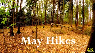 Morning Hike in May | 4K | ASMR | Virtual Walking | Nature Walk | Forest Hike | Cunchy Walk Sounds